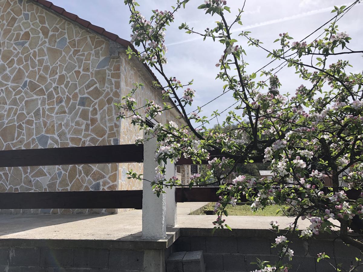 Holiday Home Ivana ヴィルパザル エクステリア 写真